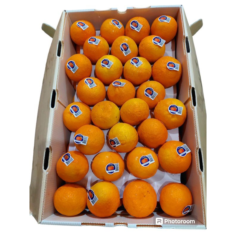 Jual JERUK MURKOD/ JERUK WOKAM FRESS 1KG RASA MANIS | Shopee Indonesia