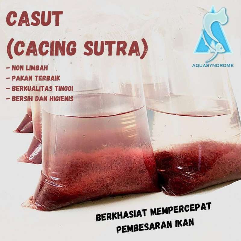 Jual CACING SUTRA (CASUT) Shopee Indonesia