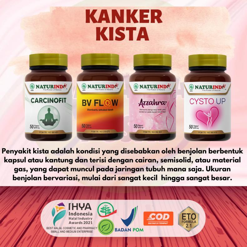 Jual Obat Herbal Untuk Mengatasi Kanker Payudara Ganas Benjolan