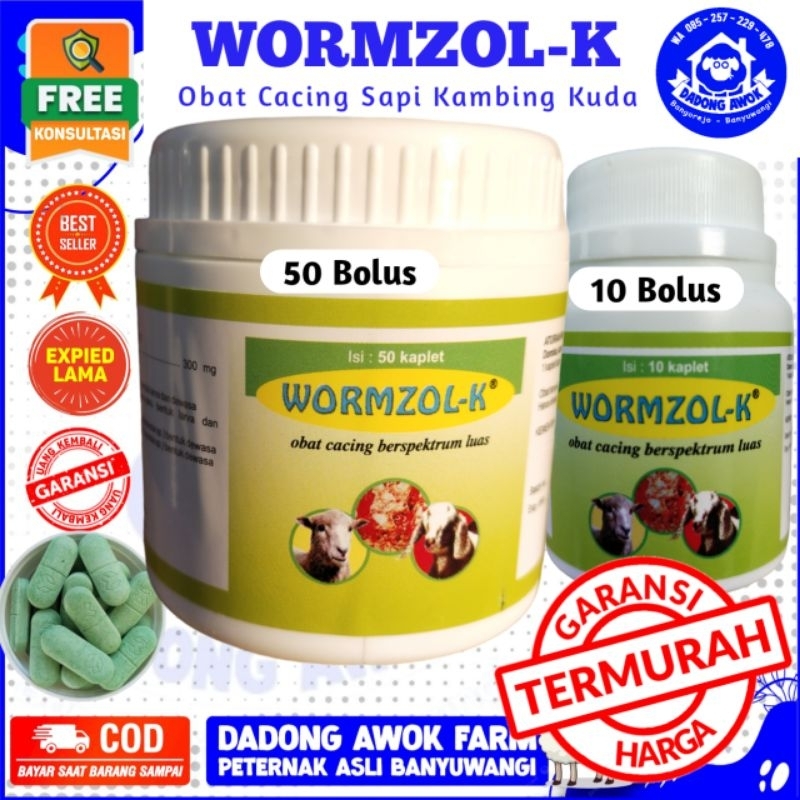 Jual OBAT CACING KAMBING DOMBA SAPI WORMZOL K 50 WORMZOL K 10 Kaplet ...