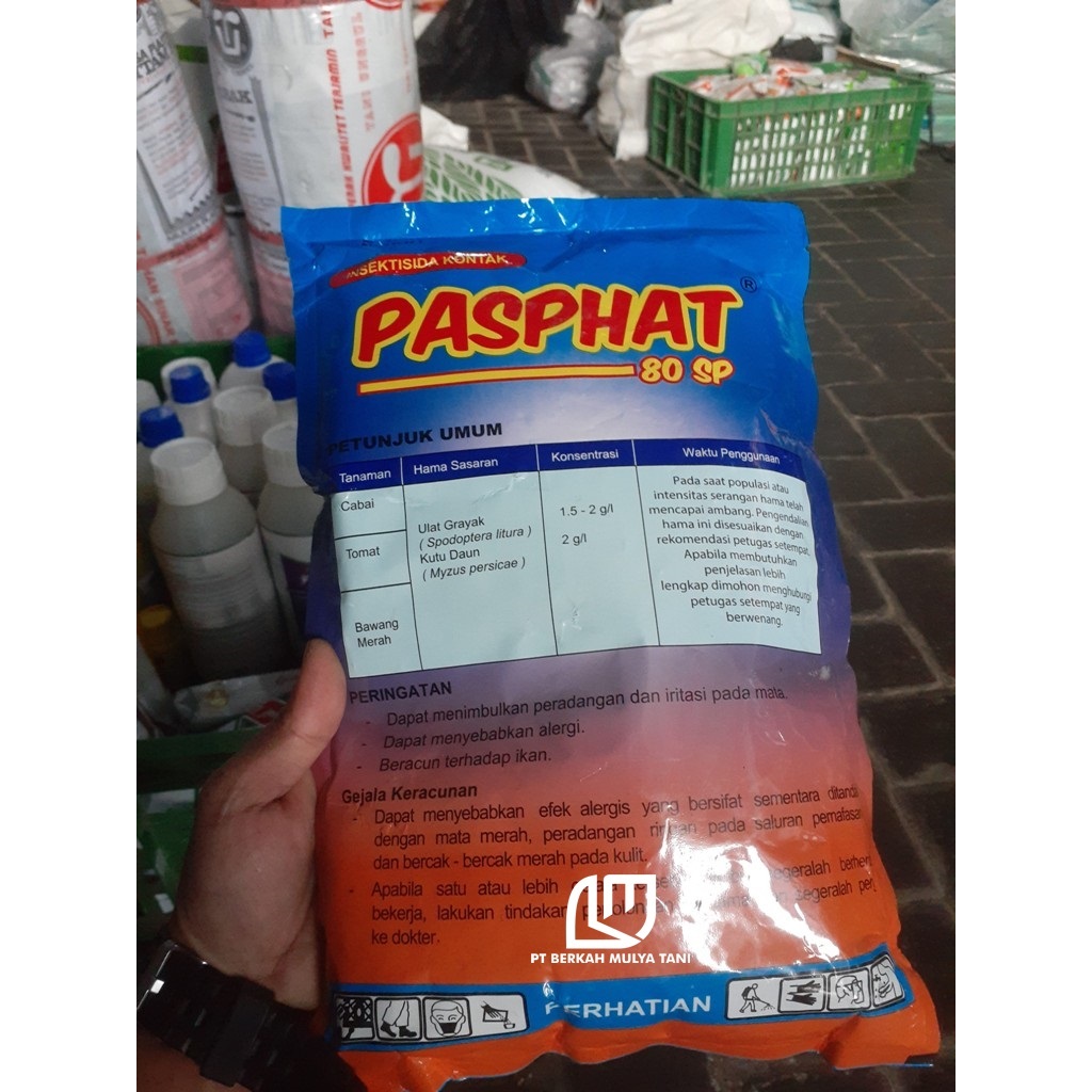 Jual Insektisida Kontak Pasphat 80SP Paspat Bahan Aktif Asefat 80% ...