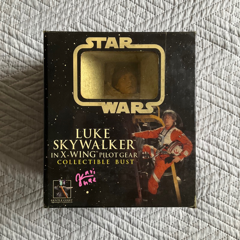 Jual Star Wars Luke Skywalker in X-Wing Pilot Gear Deluxe Collectible ...