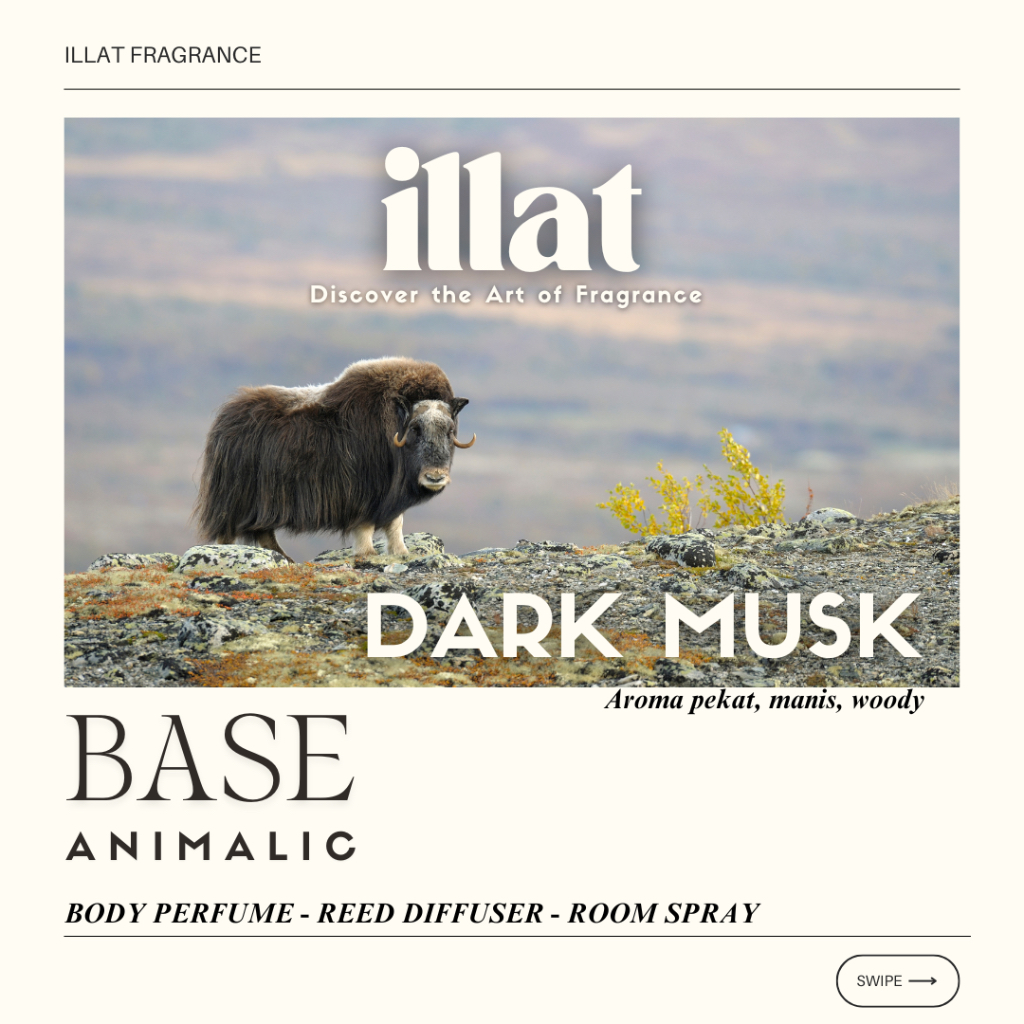 Jual Dark Musk Fragrance oil Perfume / Reed Diffuser by ILLAT FRAGRANCE ...