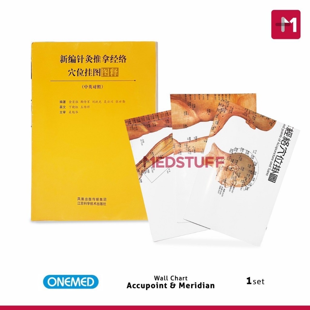 Jual Wall Chart Accupoint and Meridian Gambar Titik Akupuntur Poster ...