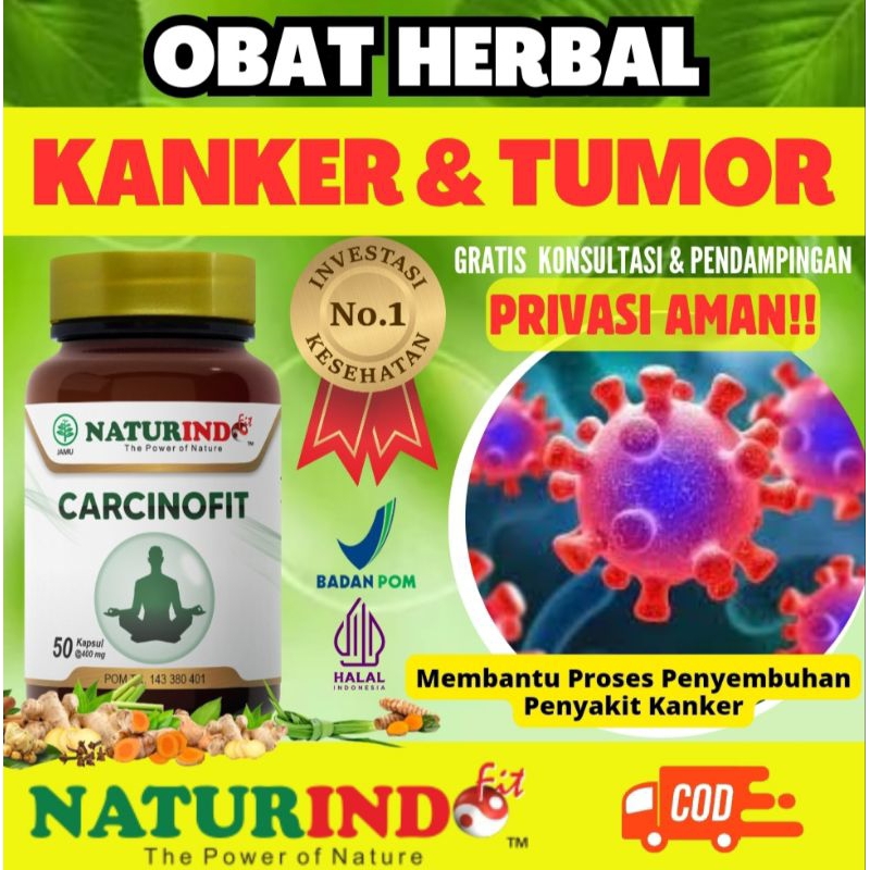 Obat Kanker Tumor Benjolan Payudara Tumor Payudara Obat Kanker Serviks Prostat Paru Paru Usus Besar Hati Tumor Herbal Kanker Tumor Benjolan Ampuh Obat Segala Kanker Ganas Jamu Kanker Payudara Ganas Cancer Carcinofit Naturindo BPOM Gemilang