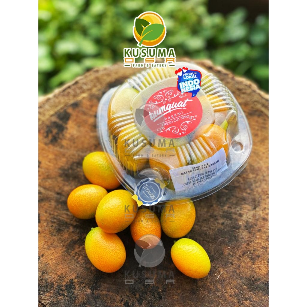 Jual Buah Jeruk nagami super /jeruk kimkit / kumquat nagami / kualitas ...