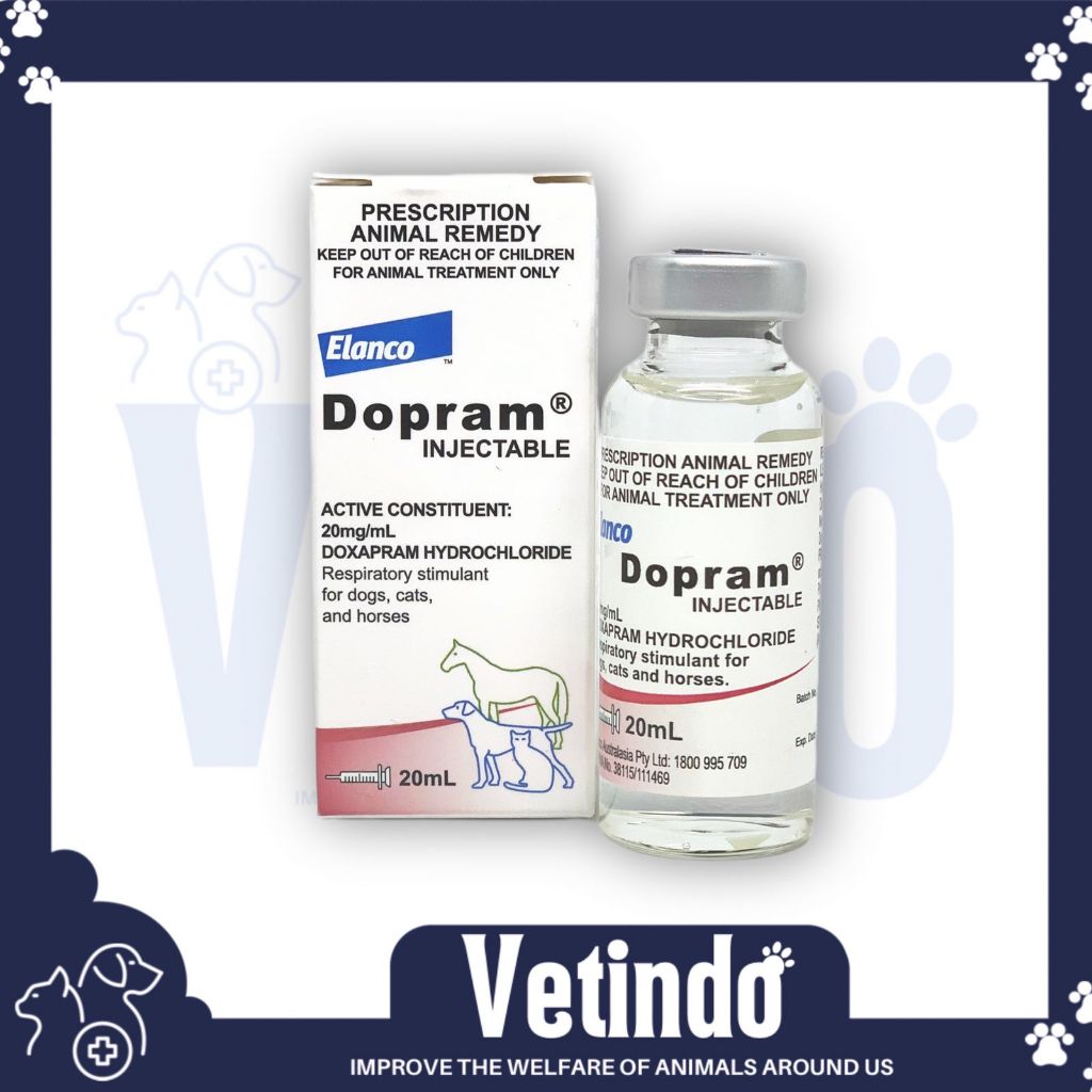 Jual Dopram 20ml obat pernapasan anjing kucing | Shopee Indonesia