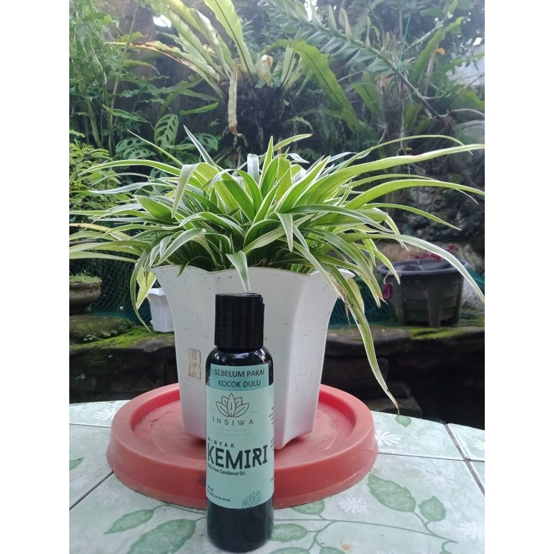 Jual INSIWA BLACK | Shopee Indonesia