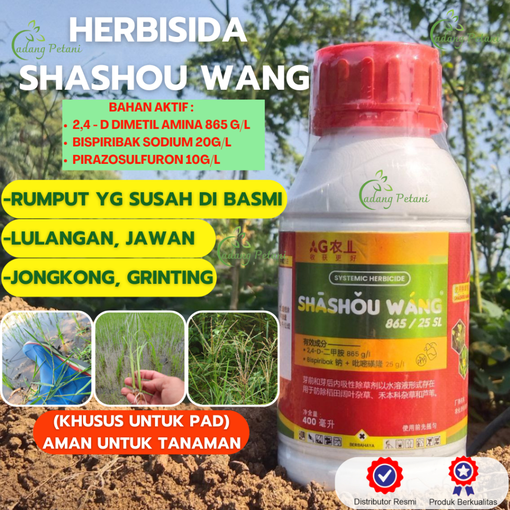 Jual Herbisida Racun Obat Rumput Gulma Shashou Wang Pembasmi Lulangan