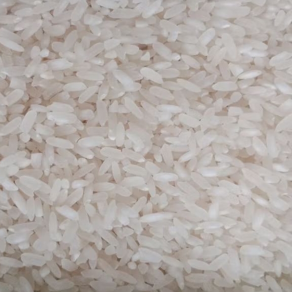 Jual Beras Pera IR42 (PN) 1Kg | Shopee Indonesia