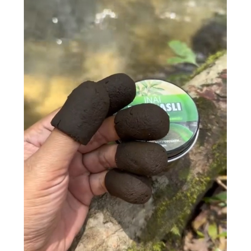 Jual INAI DAUN ASLI MALAY 100% ORI PURE DAUN INAI 50gr | Shopee Indonesia