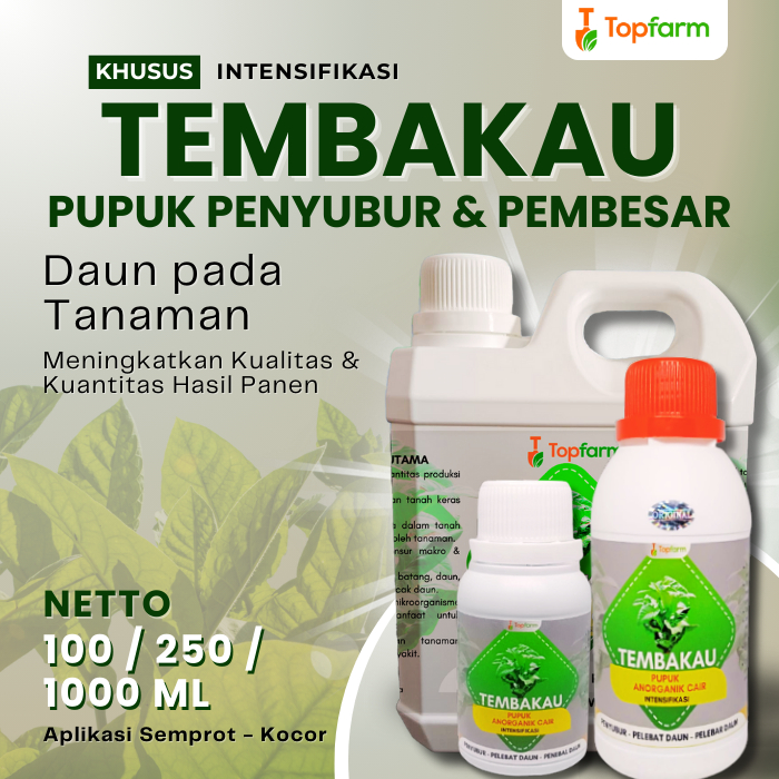 Pupuk Daun Lebar / Pupuk Daun Lebar Terbaik / Pupuk Daun Dan Batang Daun Lebar / Pupuk Tanaman Cepat Subur / Pupuk Khusus Daun Lebar / Pupuk Pelebar Daun Lebar/ Pupuk Daun Lebar