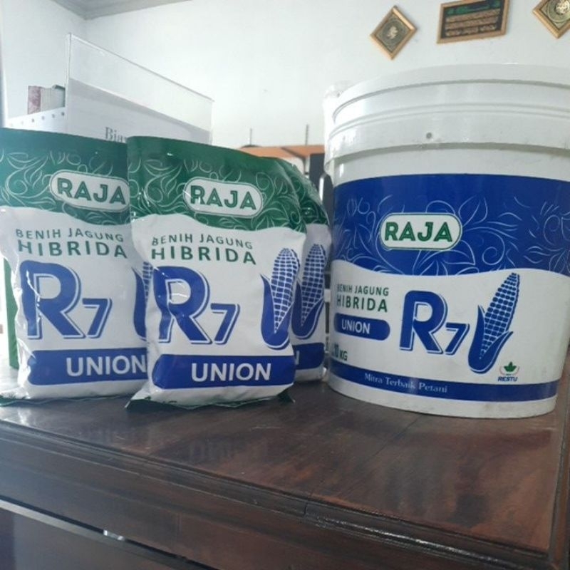 Jual Benih Jagung R7 Raja Union 1kg | Shopee Indonesia