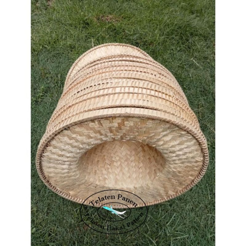 Jual 20 Biji Topi Bambu - Capil Buyhuk (harga satu kodi) | Shopee Indonesia