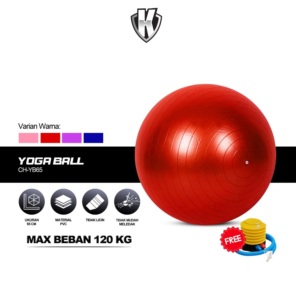 Jual CHAMPS Gym Ball 65cm – Bola Senam Yoga Fitness untuk Ibu