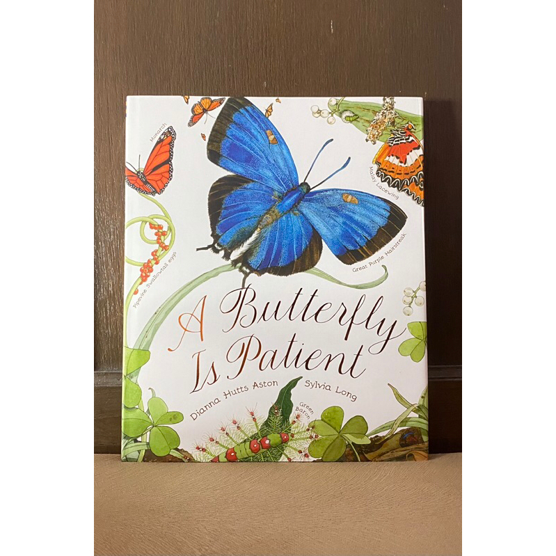 Jual A Butterfly Is Patient Buku Anak Hardcover Shopee Indonesia