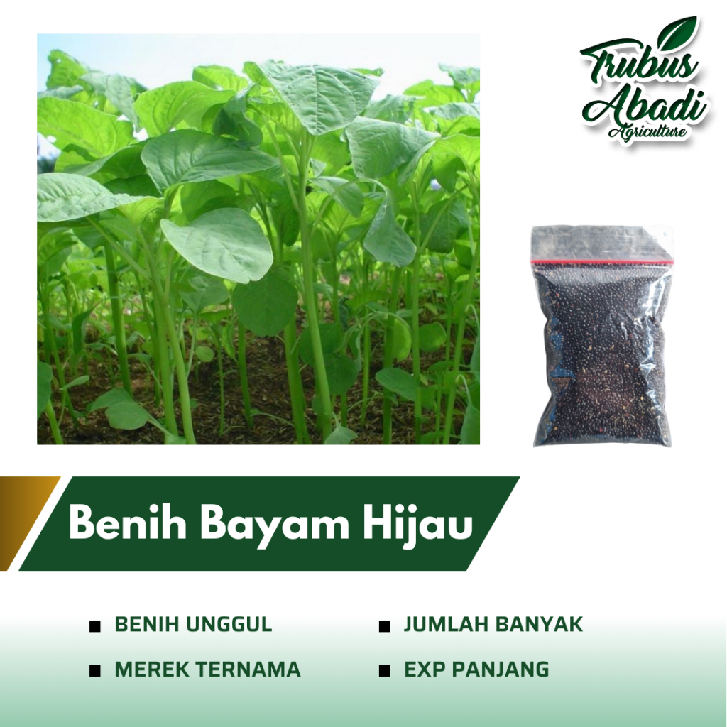 Jual Benih Bibit Bayam Hijau Kemasan Repack - Benih Sayuran | Shopee ...