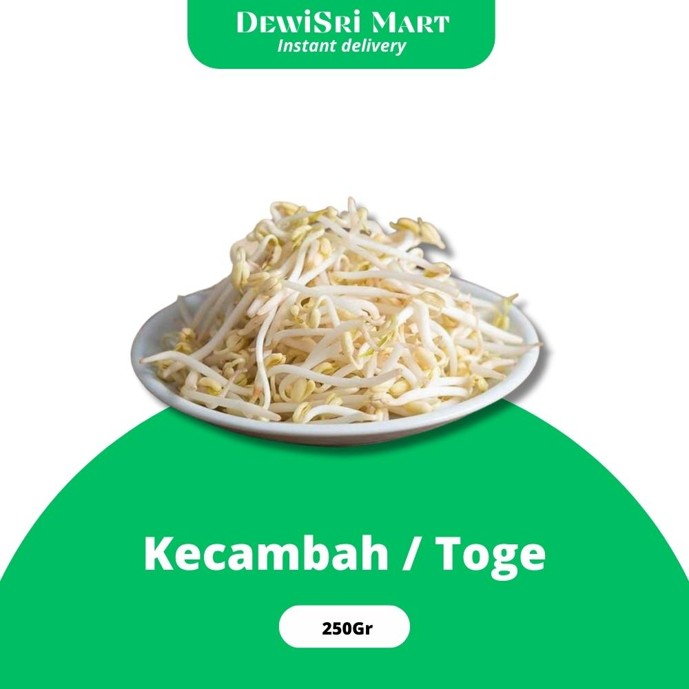 Jual Kecambah / Toge / Tauge 250gr - KIRIM INSTANT Dewi Sri mart ...