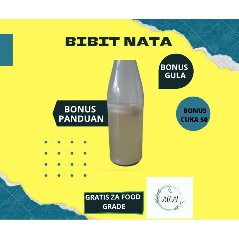 Jual bibit nata starter nata biang nata de coco bakteri acetobacter