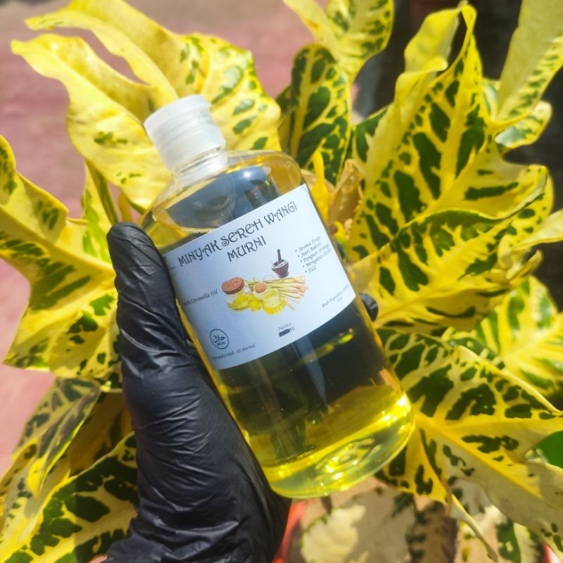 Jual Herbal Minyak Sereh Wangi 500ml Esensial Oil 100% Murni. ( Minyak ...