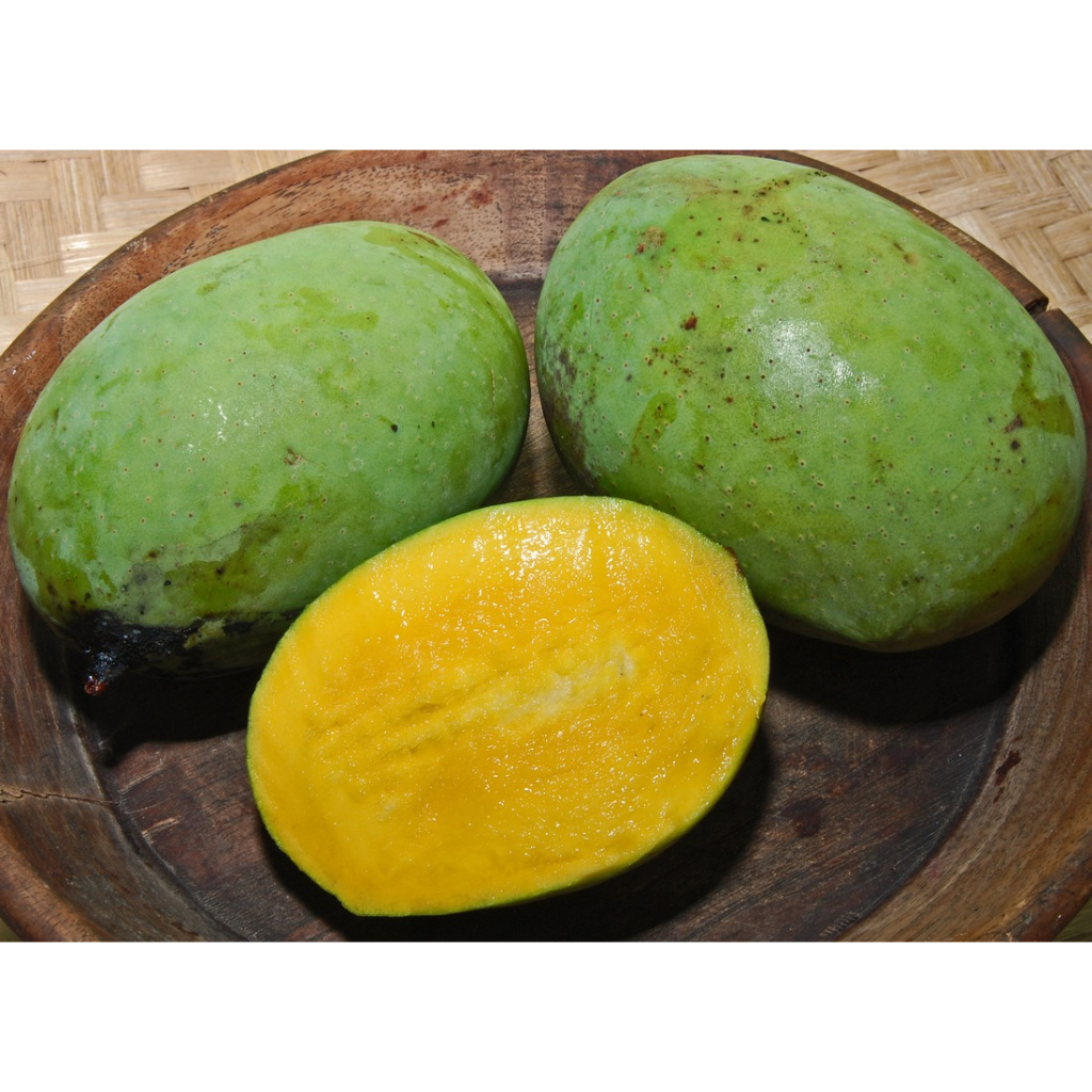 Jual Buah Musiman Mangga Kuweni kweni kuwini huani wani juani kebembem ...