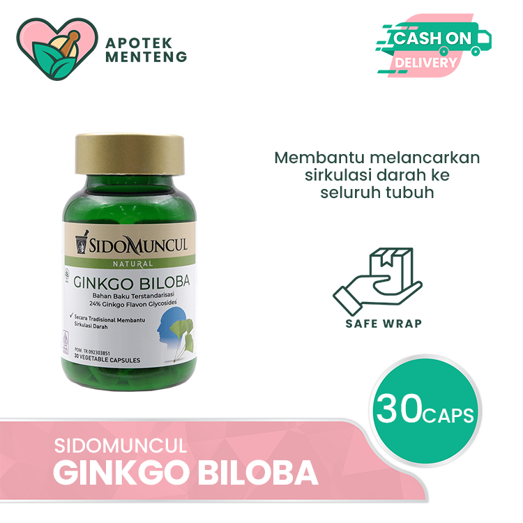 Jual Sido Muncul Ginkgo Biloba 30 Kapsul - Menjaga Daya Ingat ...