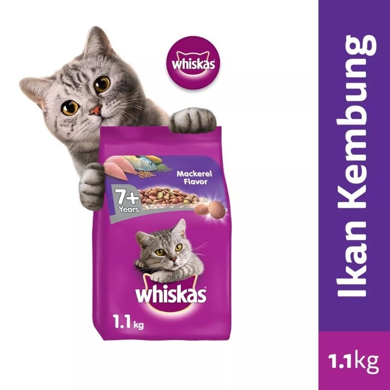Jual WHISKAS DRY FOOD SENIOR 7+ RASA MACKAREL 1,1 KG Shopee Indonesia