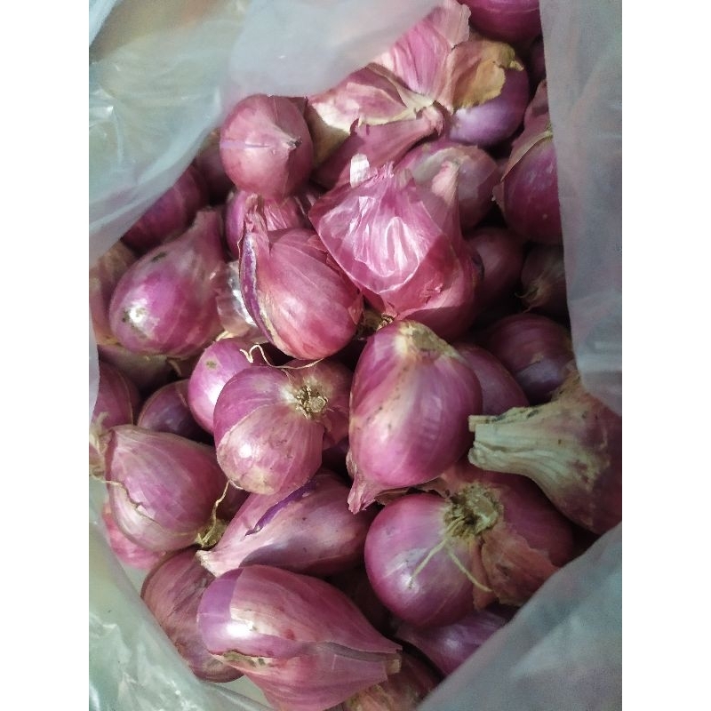 Jual Bawang Merah 1kg Shopee Indonesia