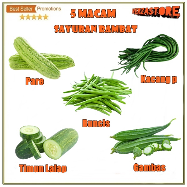 Jual Paket Macam Benih Sayuran Rambat Bibit Sayur Merambat Buncis Kacang Pare Oyong Timun