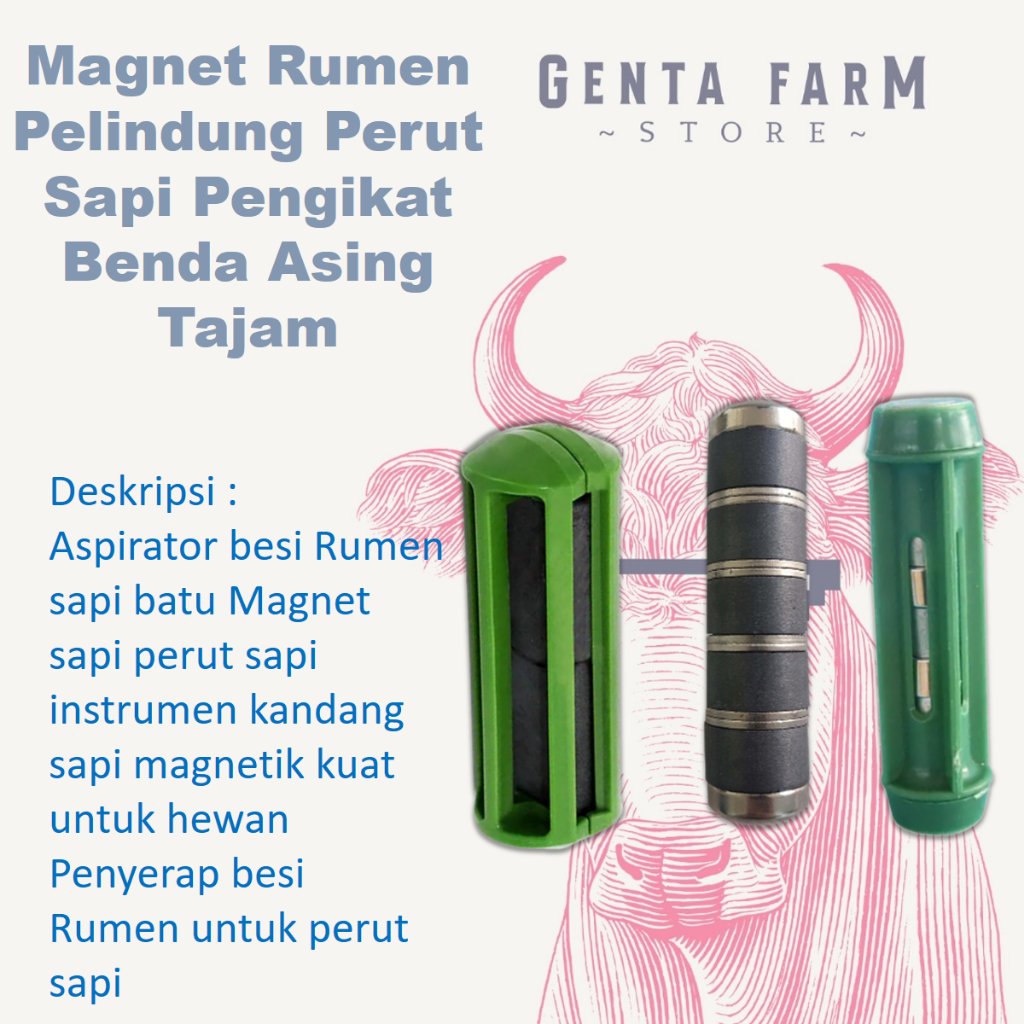Jual Magnet Rumen Pelindung Perut Sapi Pengikat Benda Asing Tajam ...