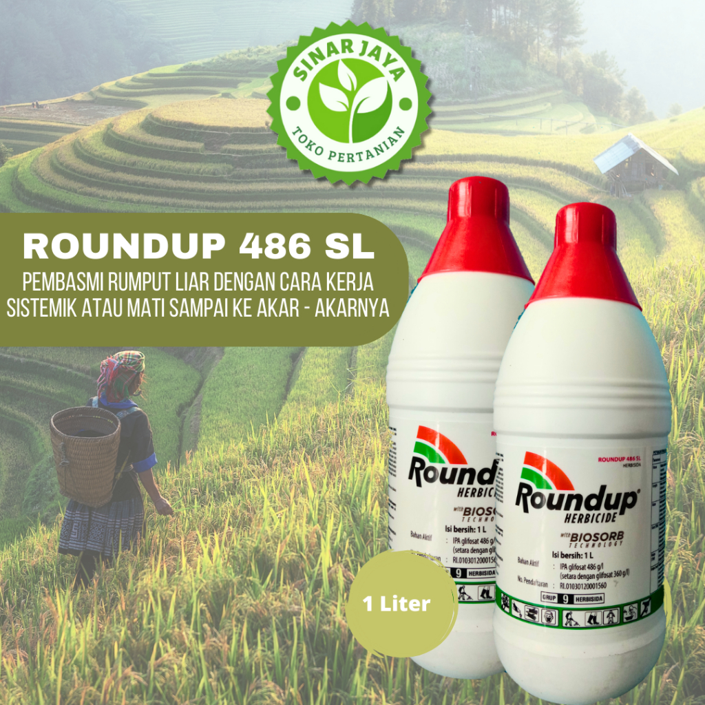 Jual Roundup 486 Sl Herbisida Pembasmi Rumput Liar 1 Liter Shopee