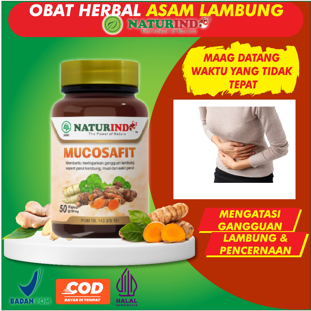 Jual Obat Herbal Asam Lambung Kronis Obat Maag Obat Kembung Sakit Perut ...