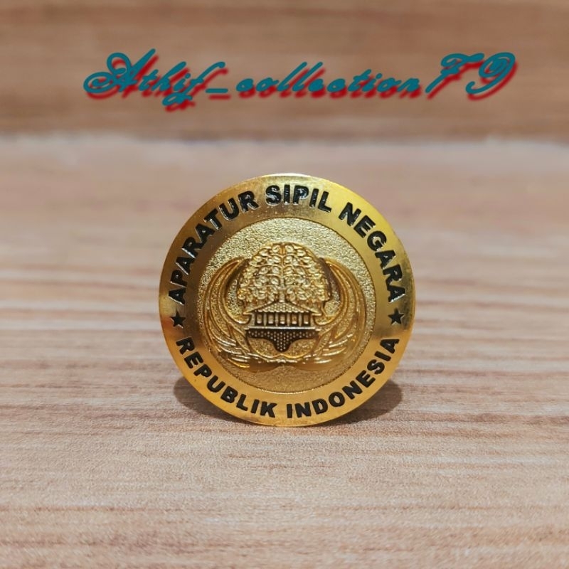 Jual Pin Korpri Asn Kuningan Magnet Pin Asn Ri Bulat Shopee Indonesia