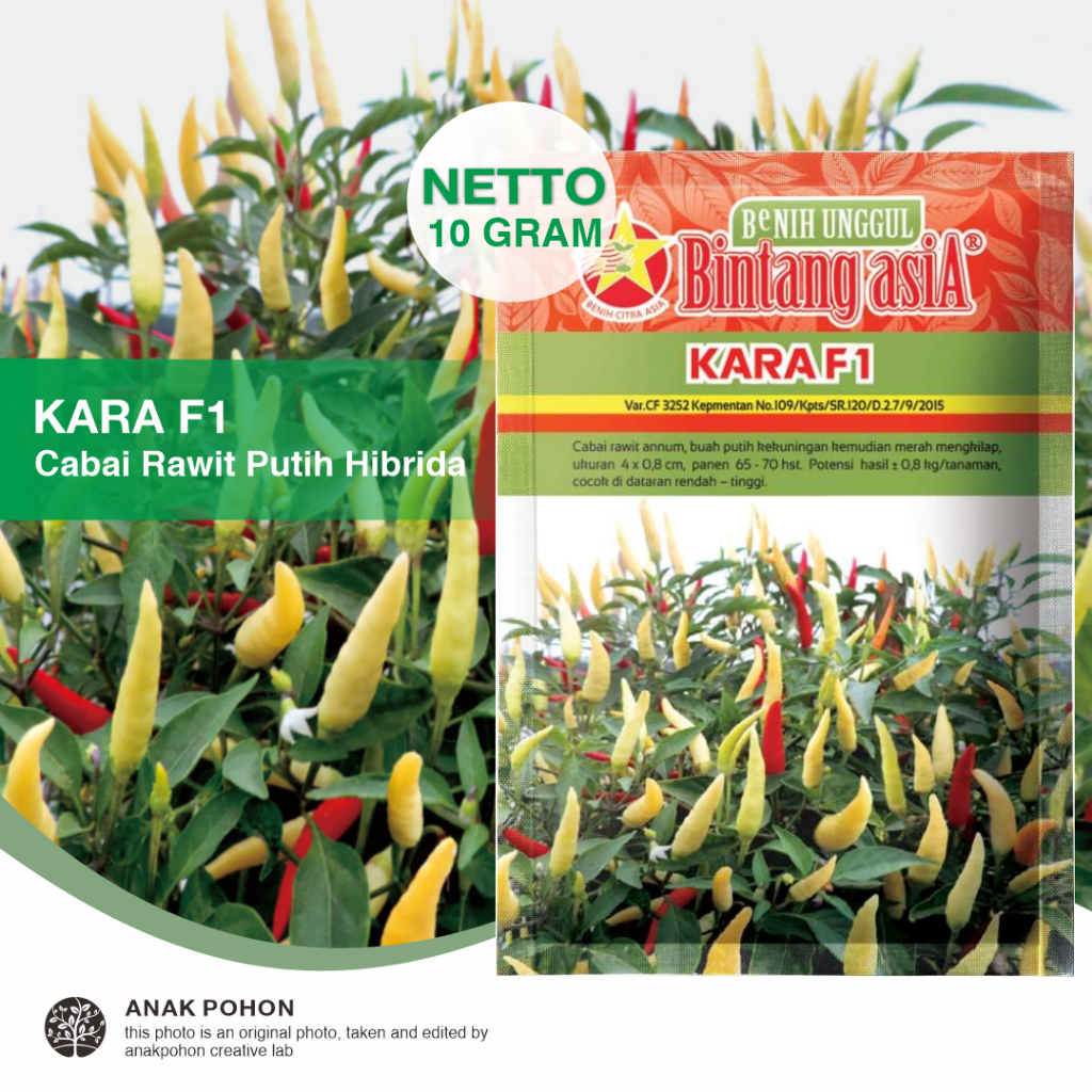 Jual 1 Pack Benih Cabai Rawit Kara F1 Cabe Rawit Pedas Annum Hibrida