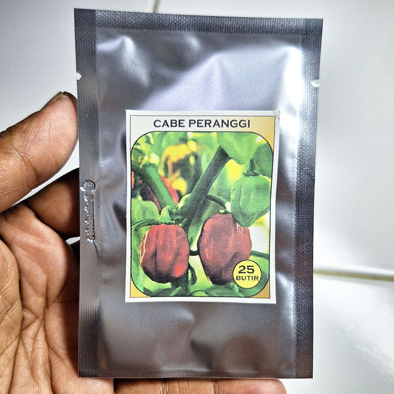 Jual Benih Cabe Peranggi - cabai katokkon isi 25 butir | Shopee Indonesia