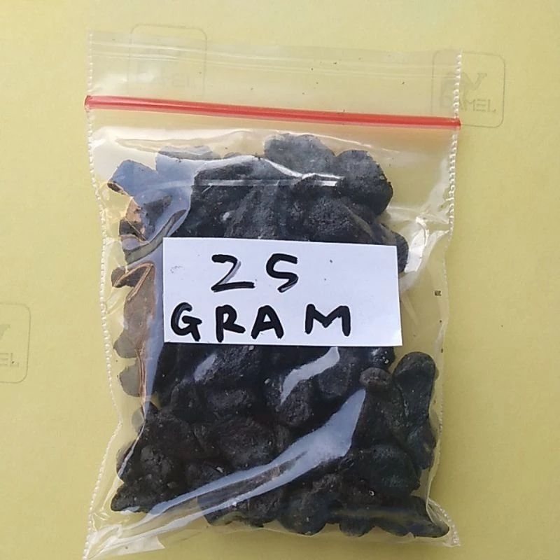 Jual MPOT AYAM HITAM TANAMAN BAWAH LAUT 25 GRAM | Shopee Indonesia