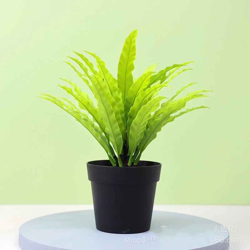 Jual Ornamen Tanaman Bunga 46 Daun Pakis Artifisial Plastik Pot ...