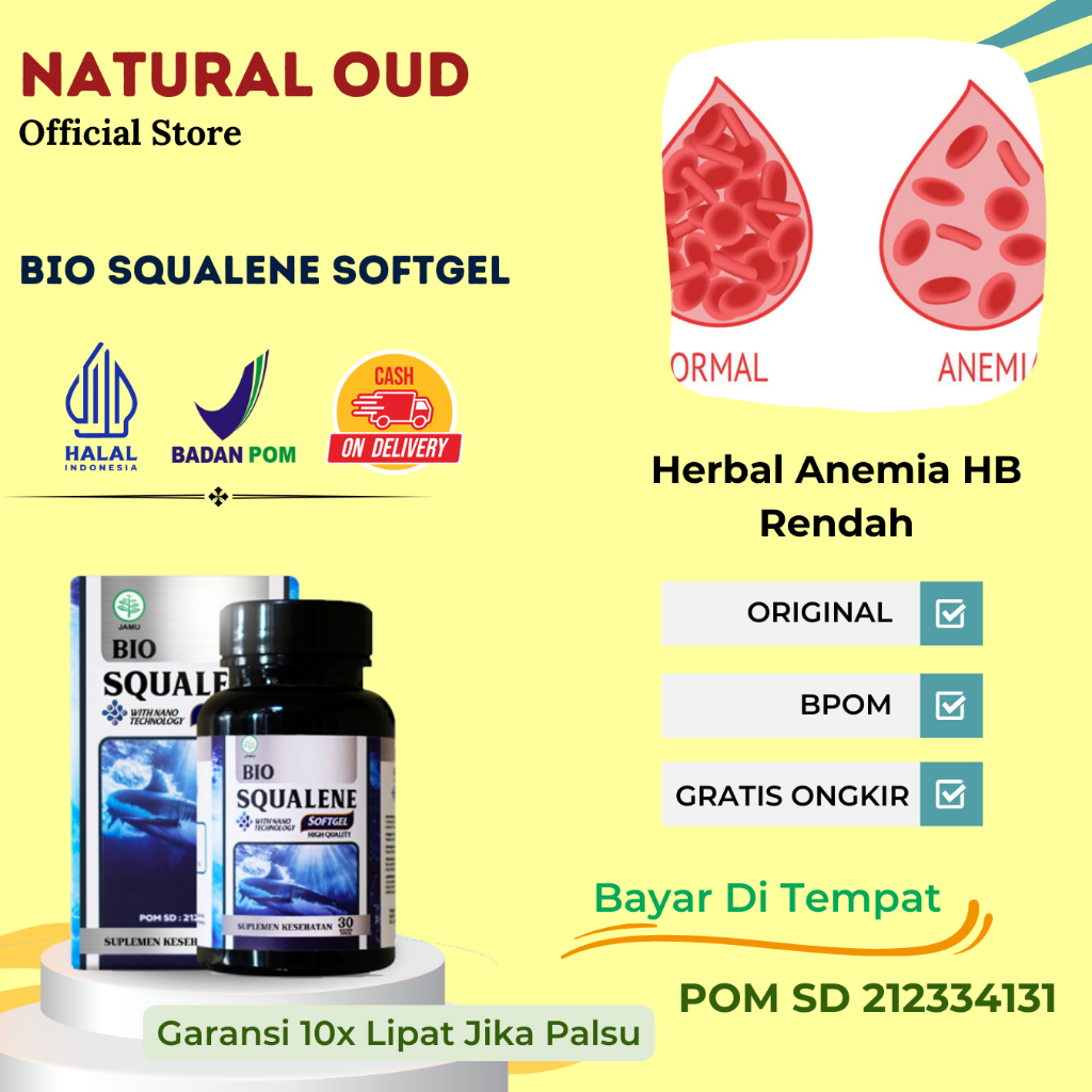 Jual Obat Herbal Anemia Aplastik Hb Rendah Anemia Penambah Hemoglobin Rendah Alami Dengan Bio 1667