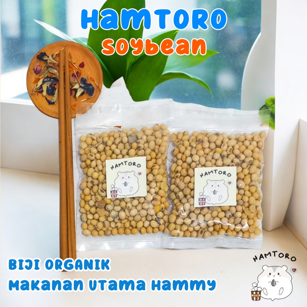 Jual Kacang Kedelai 100g Makanan Hamster Soybean Untuk Hamster Menyusui Shopee Indonesia