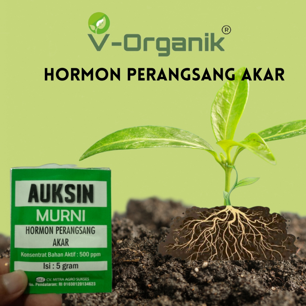 Jual Hormon Perangsang Akar Auksin Murni 5gram | Shopee Indonesia