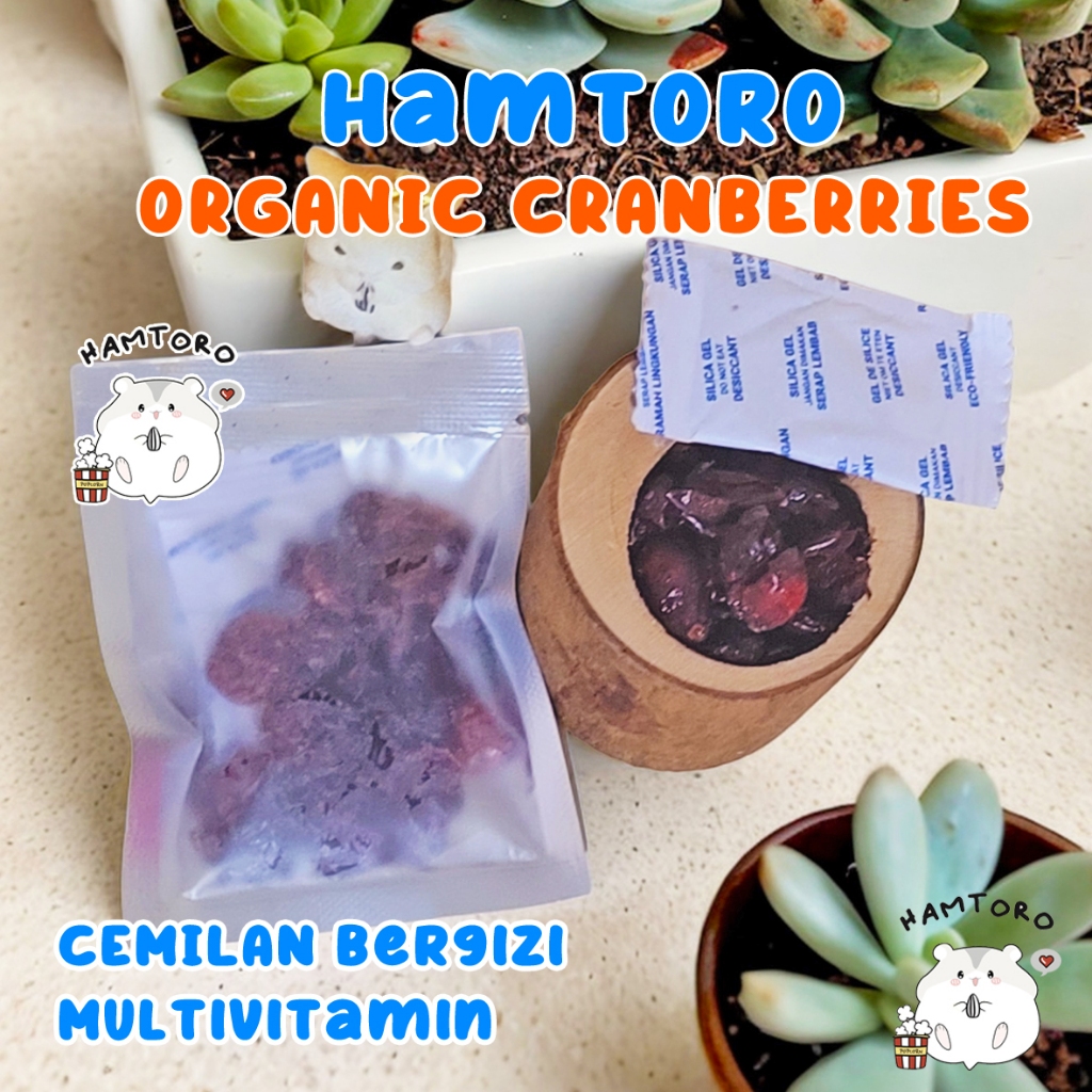 Jual Organic Dried Cranberries Snack Hamster, Sugar Glider Shopee Indonesia