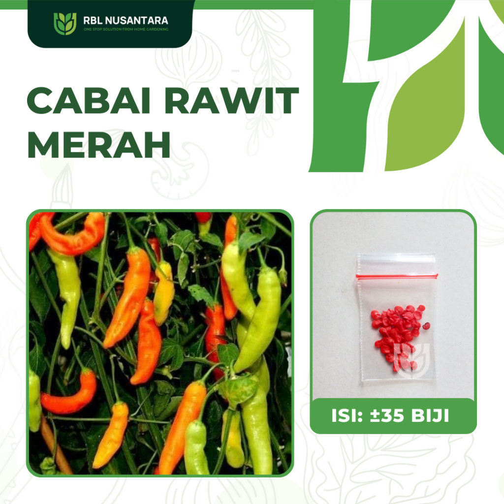 Jual 35 Benih Cabe Rawit Merah F1 Sigantung Sayur Sayuran Cabai Setan Pedas Shopee Indonesia 