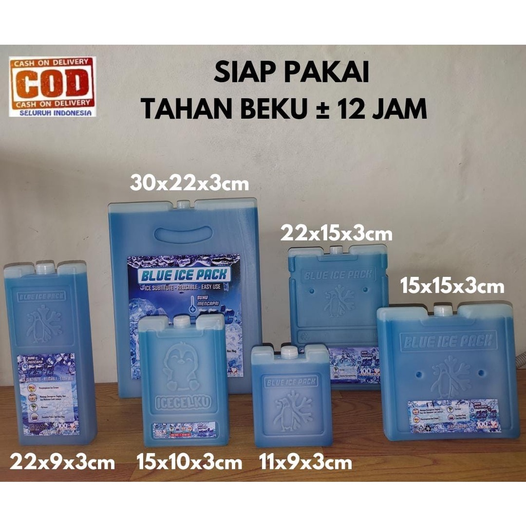 Jual ICE PACK SIAP PAKAI ICE PACK BLUE PACK PENGGANTI DRY ICE PENGGANTI ...