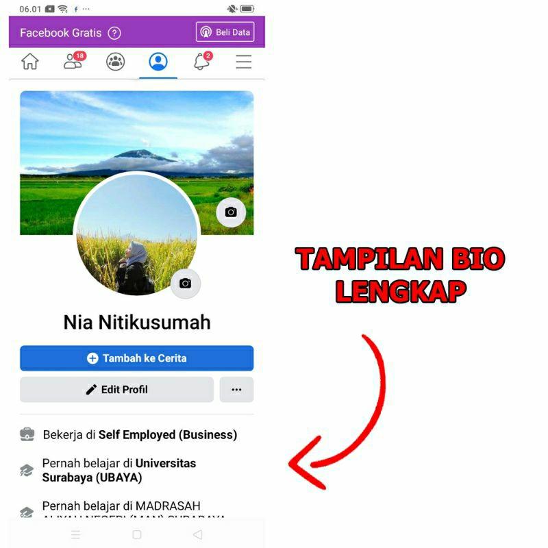 Jual Akun Gemini Pro Terbaru: Panduan Lengkap untuk Pemula