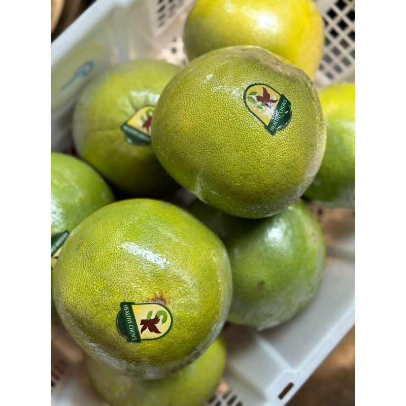 Jual Jeruk Pomelo (1 buah berat 1 kg ) Shopee Indonesia