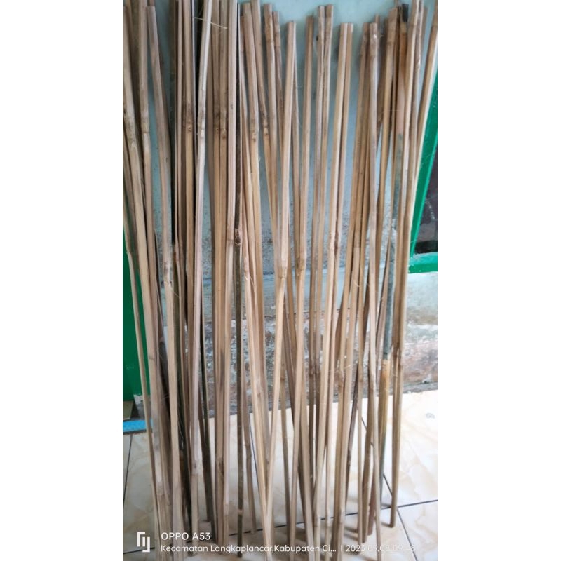 Jual Bambu Bilah Bambu Ajir Tanaman Penyangga Tanaman 100cm