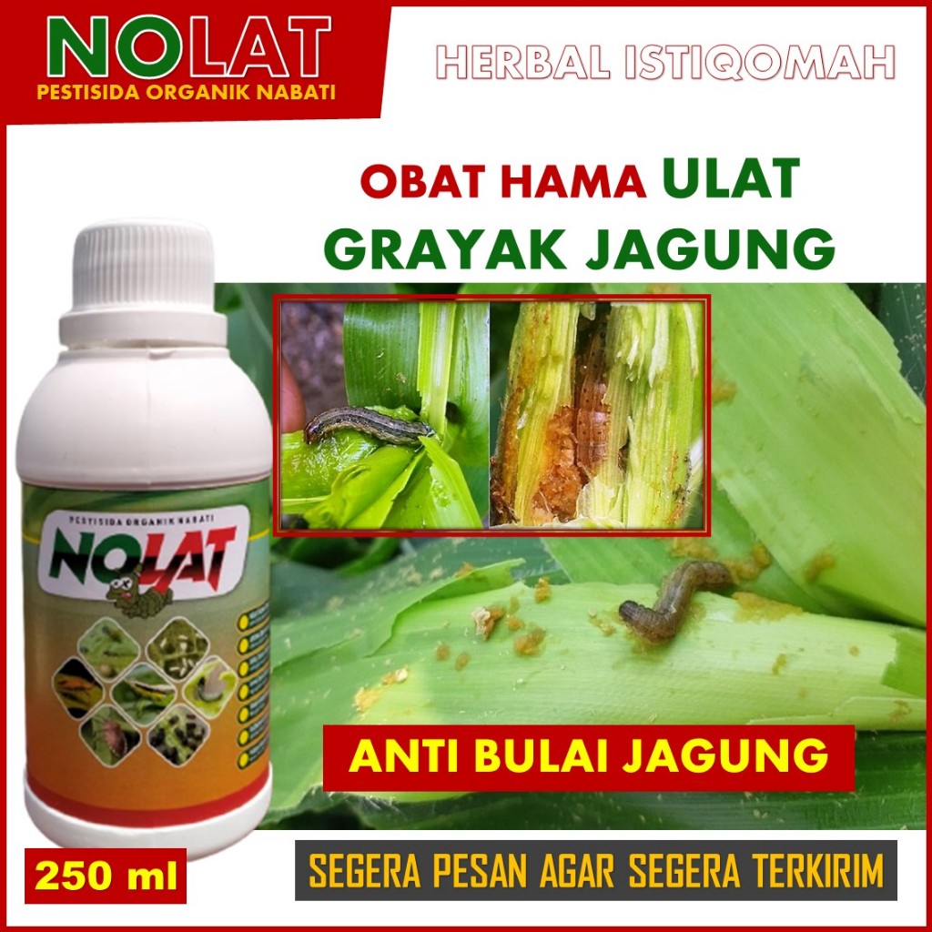 Jual Nolat 250 Ml Pestisida Semprot Organik Anti Hama Ulat Grayak