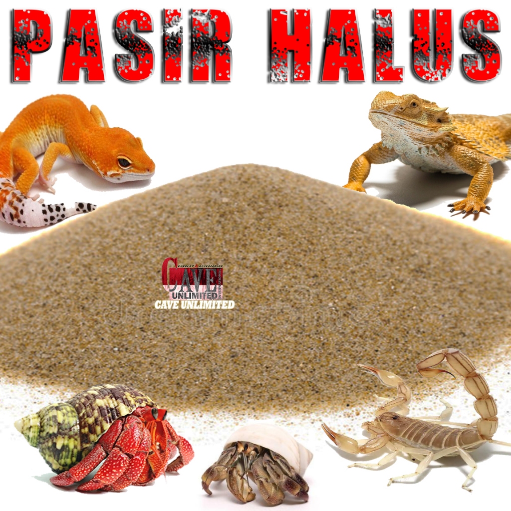 Jual PASIR HALUS PANTAI SUBSTRAT NATURAL SAND MEDIA ALAS HEWAN REPTILE