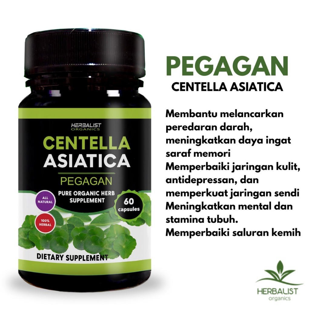 Pegagan (Centella asiatica): Rahasia Kesehatan Alami untuk Fungsi Kognitif Optimal dan Penyembuhan Luka Lebih Cepat