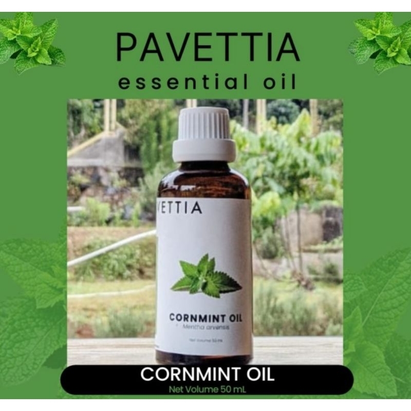 Jual 50 ml - Cornmint essential oil / minyak cornmint (Mentha arvensis ...